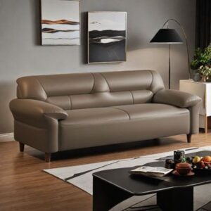 Sofa Tamu Minimalis Kulit Klasik